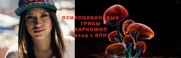 винт Абаза