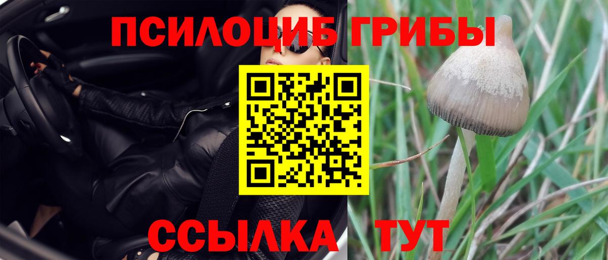 Галлюциногенные грибы Psilocybe  Псилоцибиновые грибы GOLDEN TEACHER  Вход с VPN  где найти   Шарыпово 